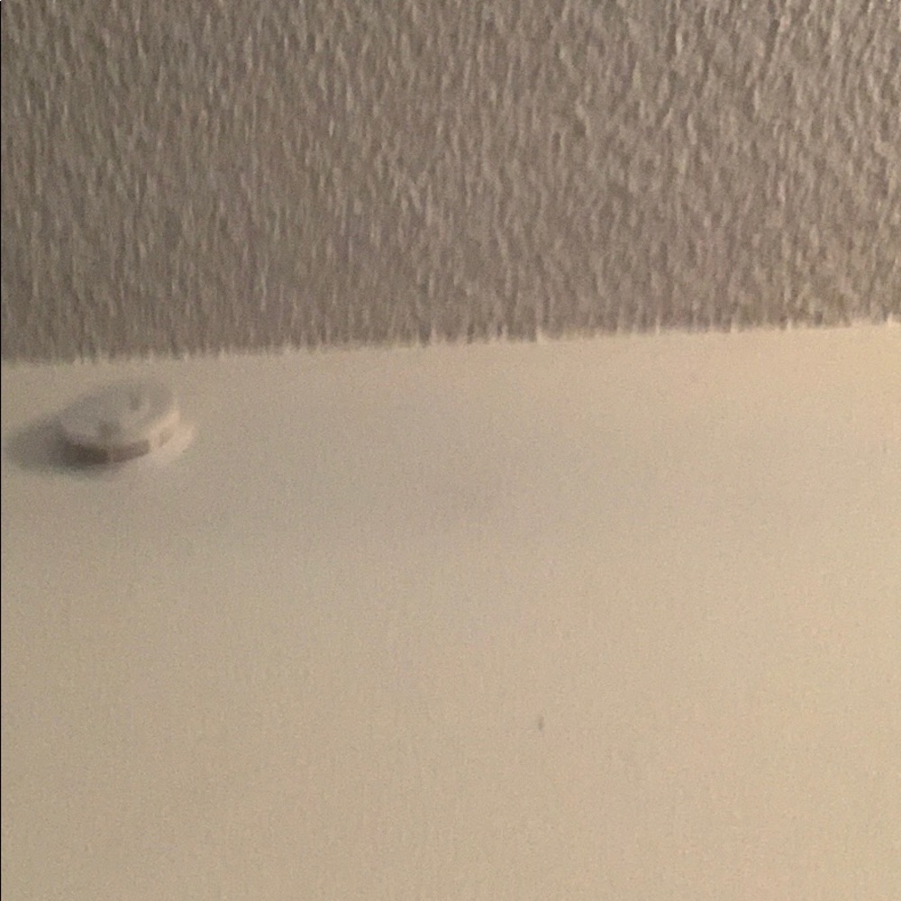 Meet your Posher, Rafael